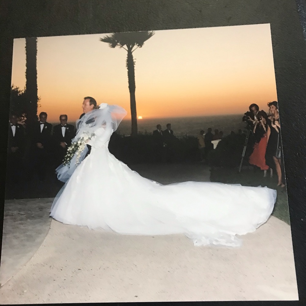 Designer wedding gown and Veil.